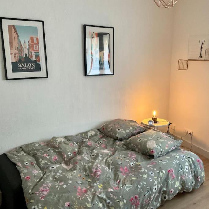 Appartement Hyper Centre Climatise Salon-de-Provence Kültér fotó